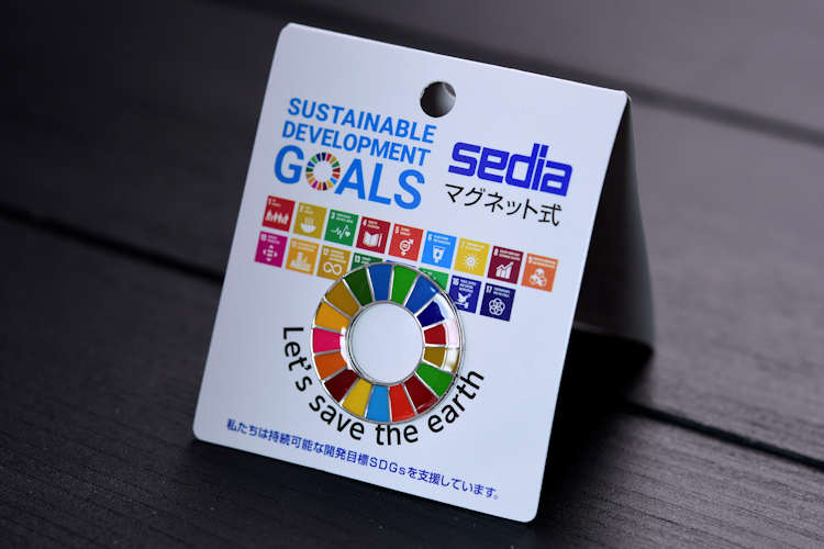 UN Sustainable Development Goals Pins